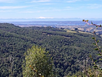 Venta / Terreno Agricola / Chonchi