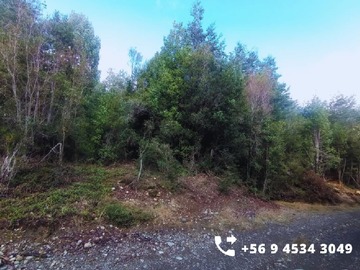Imagen 8
