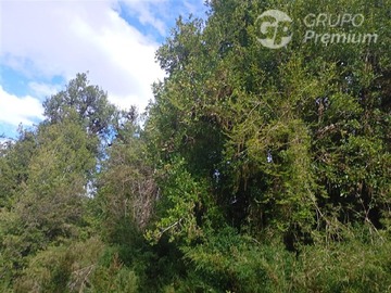 Venta / Terreno Agricola / Cisnes