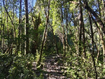 Imagen 6