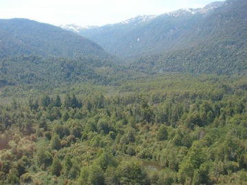 Imagen 8