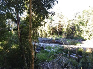 Imagen 7