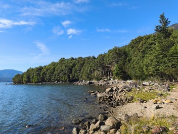 Venta / Terreno Agricola / Cisnes