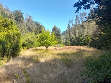 Venta / Terreno Agricola / Cobquecura