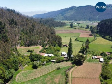 Venta / Terreno Agricola / Cobquecura