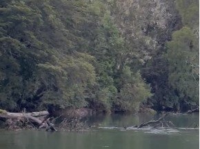 Imagen 4