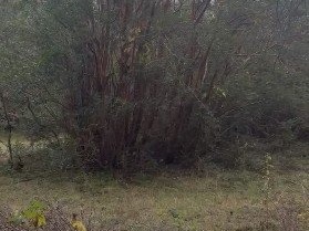 Imagen 9