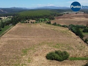 Venta / Terreno Agricola / Coihueco