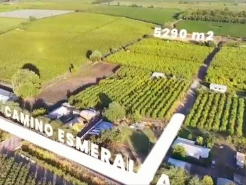 Venta / Terreno Agricola / Coinco