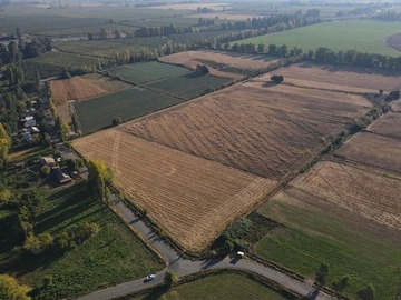 Venta / Terreno Agricola / Colbún