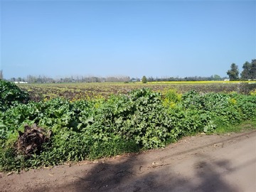 Venta / Terreno Agricola / Colina