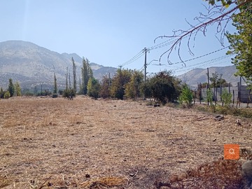 Imagen 10