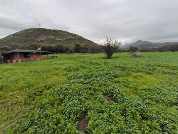 Venta / Terreno Agricola / Colina