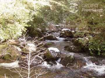Imagen 7