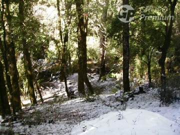 Imagen 12