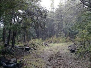 Imagen 9