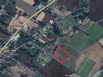 Venta / Terreno Agricola / Coltauco