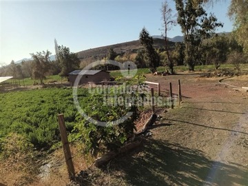 Imagen 7