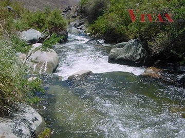 Imagen 8