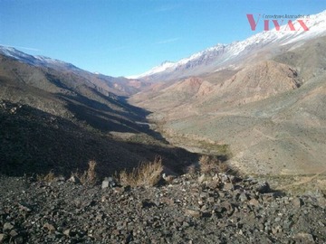 Imagen 5
