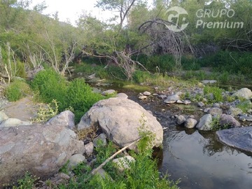 Imagen 7