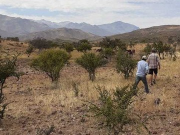 Venta / Terreno Agricola / Combarbalá
