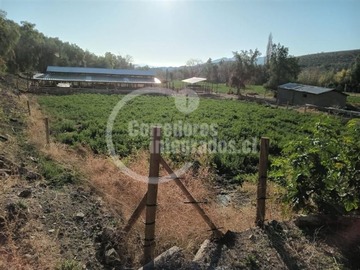 Imagen 9