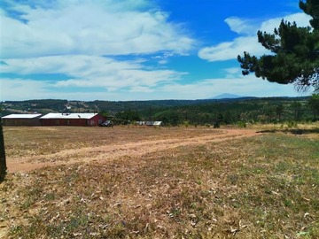 Venta / Terreno Agricola / Concepción