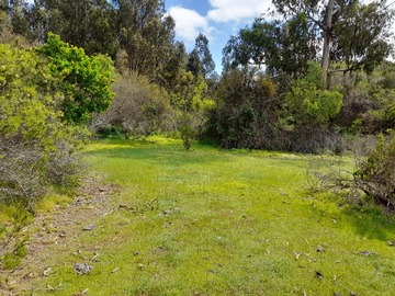 Venta / Terreno Agricola / Concón