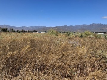 Venta / Terreno Agricola / Coquimbo