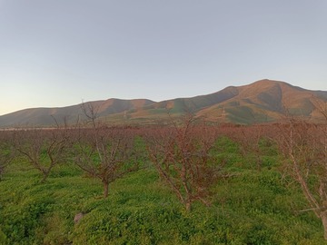 Venta / Terreno Agricola / Coquimbo