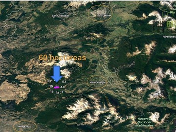 Imagen 21