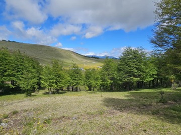 Venta / Terreno Agricola / Coyhaique