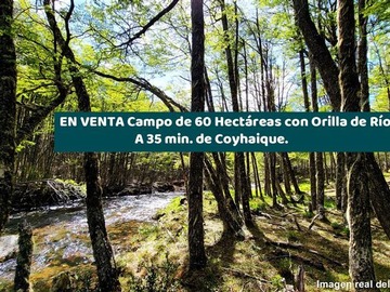 Venta / Terreno Agricola / Coyhaique