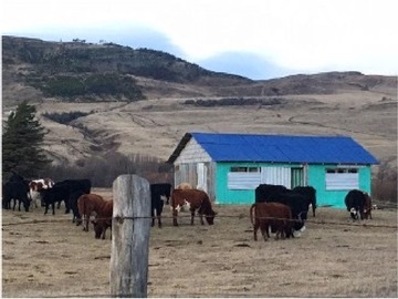 Imagen 3