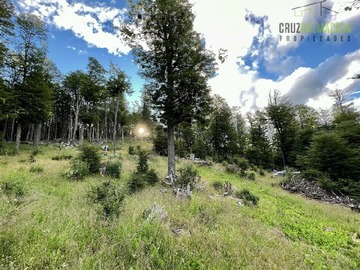 Imagen 6
