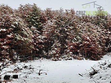 Imagen 11