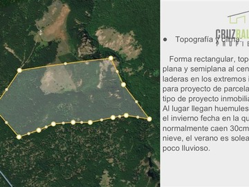 Imagen 22