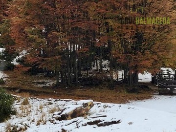 Imagen 9