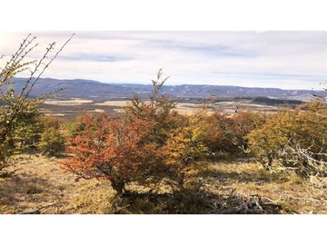 Venta / Terreno Agricola / Coyhaique
