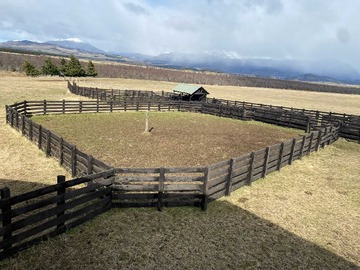 Venta / Terreno Agricola / Coyhaique