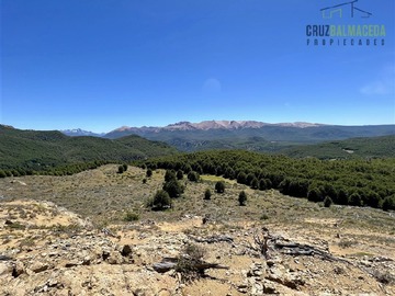 Imagen 16
