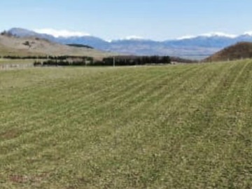 Venta / Terreno Agricola / Coyhaique