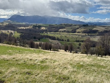 Venta / Terreno Agricola / Coyhaique