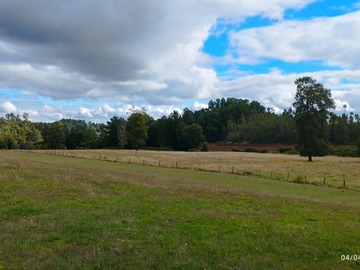 Venta / Terreno Agricola / Cunco