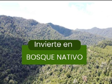 Venta / Terreno Agricola / Cunco