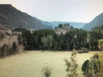 Venta / Terreno Agricola / Cunco