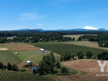 Venta / Terreno Agricola / Cunco