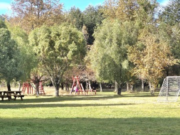 Venta / Terreno Agricola / Curacautín