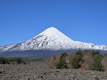 Venta / Terreno Agricola / Curacautín